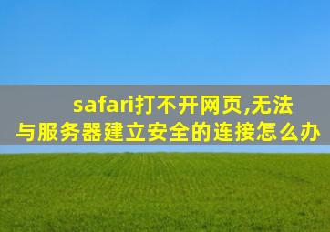 safari打不开网页,无法与服务器建立安全的连接怎么办