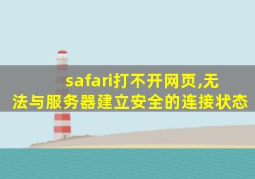 safari打不开网页,无法与服务器建立安全的连接状态