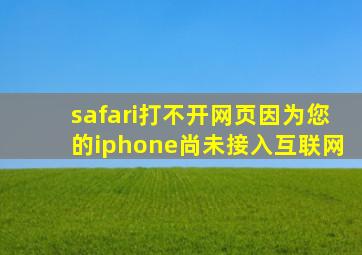 safari打不开网页因为您的iphone尚未接入互联网