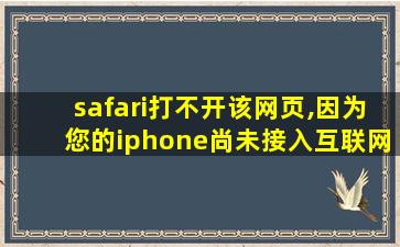 safari打不开该网页,因为您的iphone尚未接入互联网