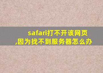 safari打不开该网页,因为找不到服务器怎么办