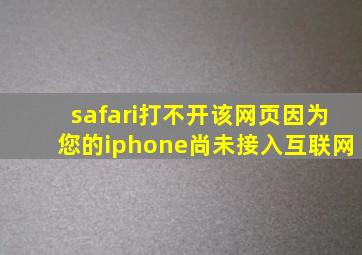 safari打不开该网页因为您的iphone尚未接入互联网