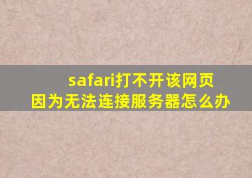 safari打不开该网页因为无法连接服务器怎么办