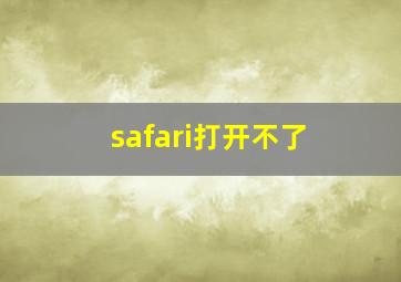 safari打开不了