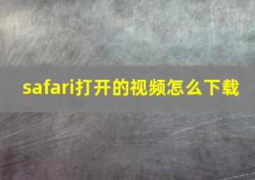 safari打开的视频怎么下载