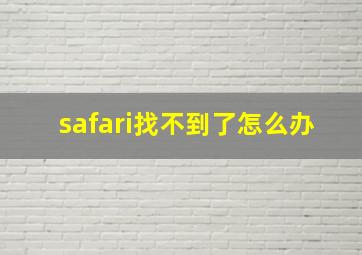 safari找不到了怎么办