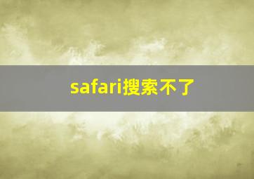 safari搜索不了