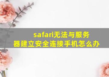 safari无法与服务器建立安全连接手机怎么办