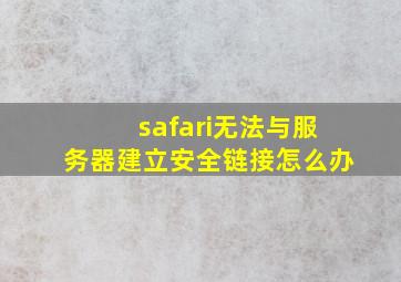 safari无法与服务器建立安全链接怎么办