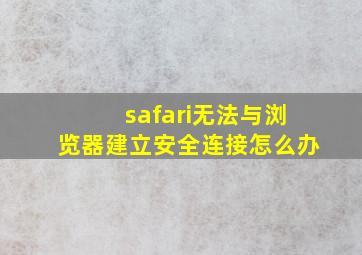 safari无法与浏览器建立安全连接怎么办