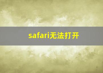 safari无法打开