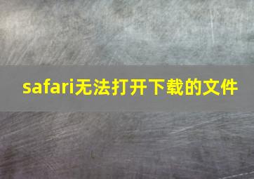 safari无法打开下载的文件