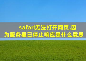 safari无法打开网页,因为服务器已停止响应是什么意思