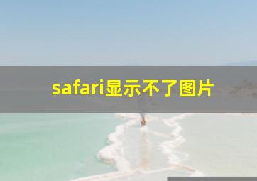 safari显示不了图片