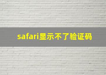 safari显示不了验证码