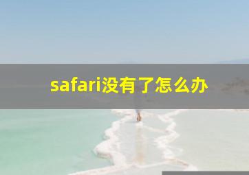 safari没有了怎么办