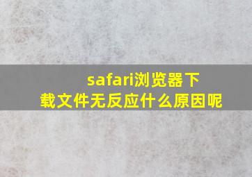 safari浏览器下载文件无反应什么原因呢