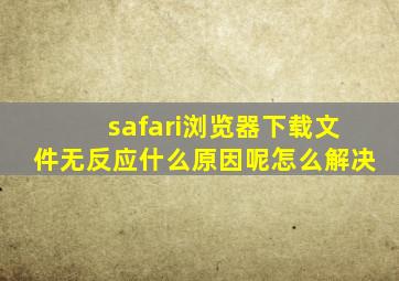 safari浏览器下载文件无反应什么原因呢怎么解决