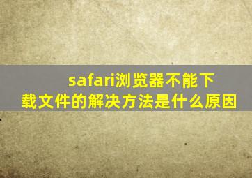 safari浏览器不能下载文件的解决方法是什么原因