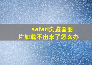 safari浏览器图片加载不出来了怎么办