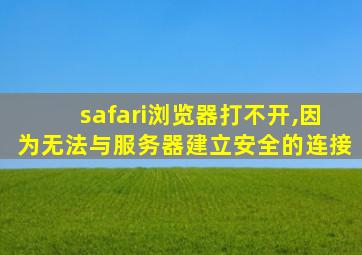 safari浏览器打不开,因为无法与服务器建立安全的连接