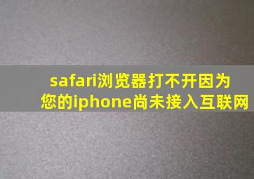 safari浏览器打不开因为您的iphone尚未接入互联网