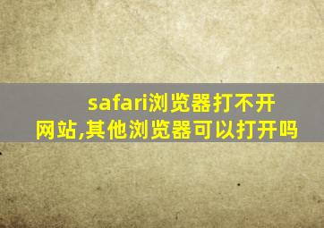 safari浏览器打不开网站,其他浏览器可以打开吗