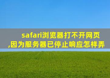 safari浏览器打不开网页,因为服务器已停止响应怎样弄