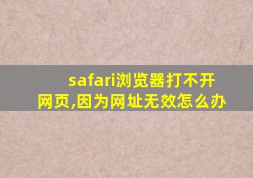 safari浏览器打不开网页,因为网址无效怎么办