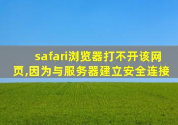 safari浏览器打不开该网页,因为与服务器建立安全连接