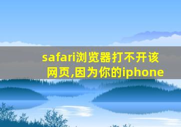 safari浏览器打不开该网页,因为你的iphone