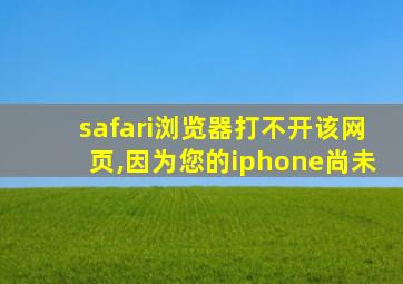 safari浏览器打不开该网页,因为您的iphone尚未