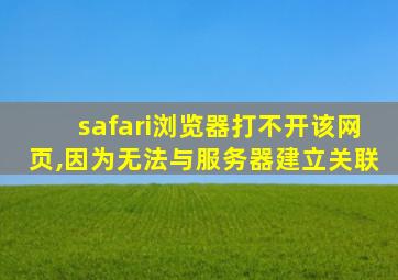 safari浏览器打不开该网页,因为无法与服务器建立关联