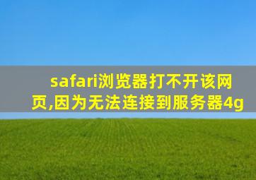 safari浏览器打不开该网页,因为无法连接到服务器4g