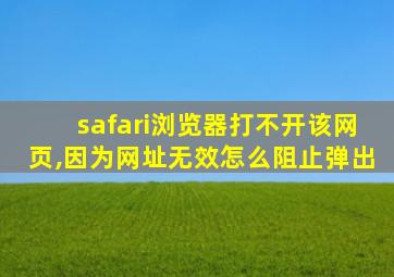 safari浏览器打不开该网页,因为网址无效怎么阻止弹出