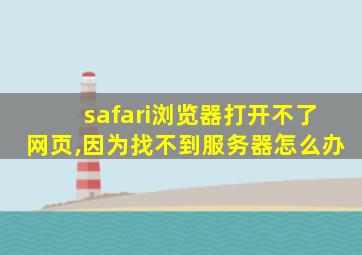 safari浏览器打开不了网页,因为找不到服务器怎么办