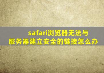 safari浏览器无法与服务器建立安全的链接怎么办