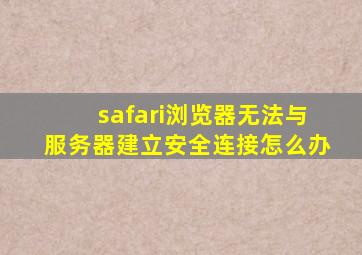 safari浏览器无法与服务器建立安全连接怎么办