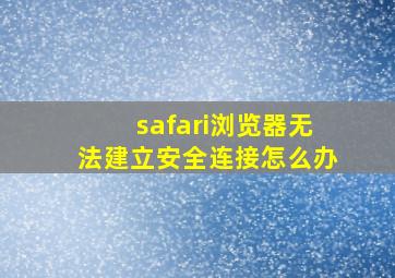 safari浏览器无法建立安全连接怎么办