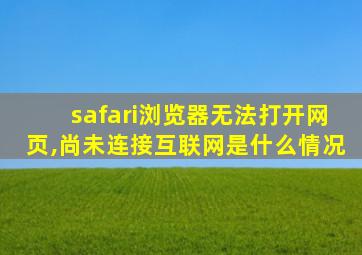 safari浏览器无法打开网页,尚未连接互联网是什么情况