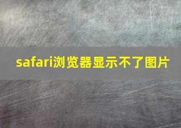 safari浏览器显示不了图片