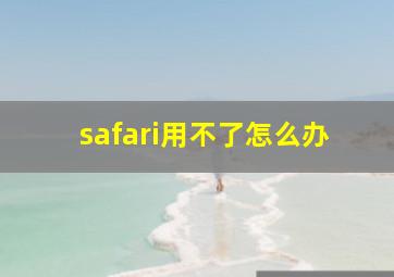 safari用不了怎么办