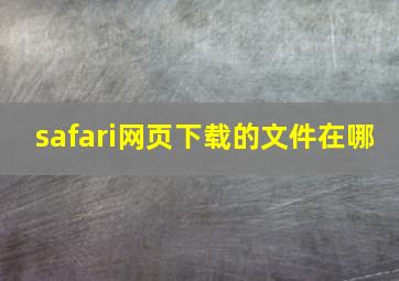 safari网页下载的文件在哪