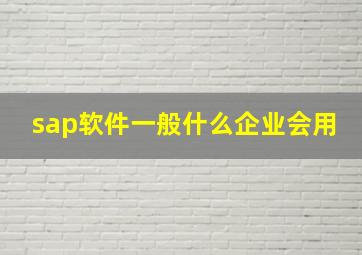 sap软件一般什么企业会用