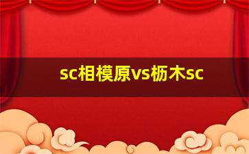 sc相模原vs枥木sc