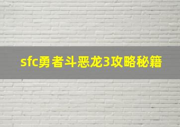 sfc勇者斗恶龙3攻略秘籍