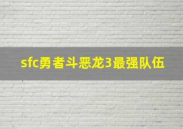 sfc勇者斗恶龙3最强队伍