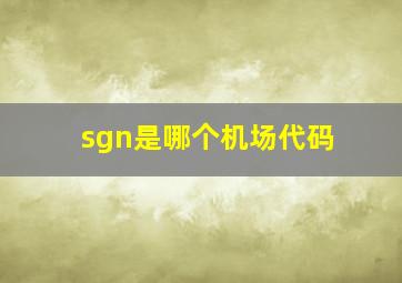 sgn是哪个机场代码