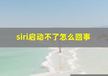 siri启动不了怎么回事