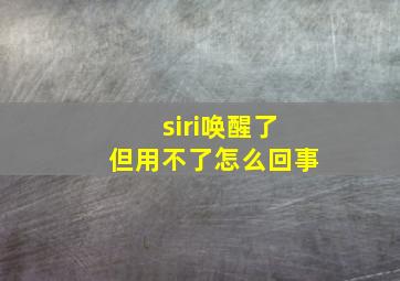 siri唤醒了但用不了怎么回事